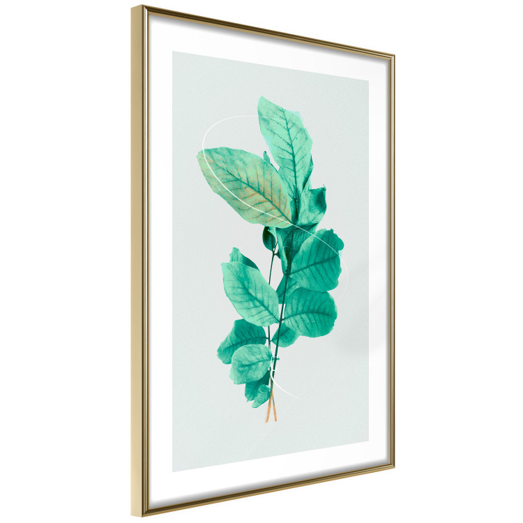 Poster Mint Grace - plant composition with mint leaves on a light background 126543 additionalImage 7