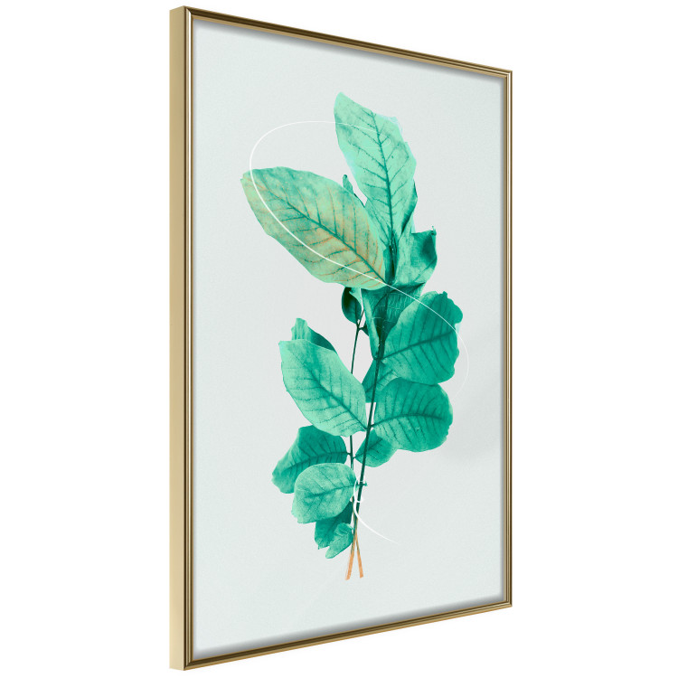 Poster Mint Grace - plant composition with mint leaves on a light background 126543 additionalImage 12