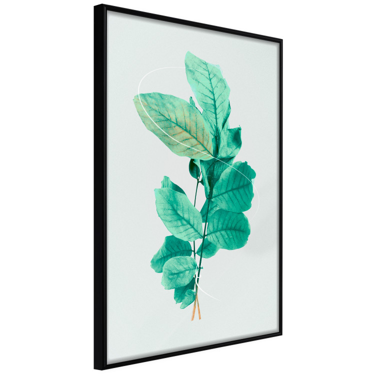 Poster Mint Grace - plant composition with mint leaves on a light background 126543 additionalImage 11