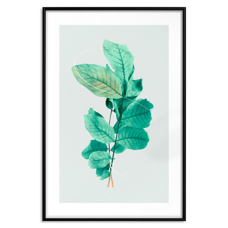 Poster Mint Grace - plant composition with mint leaves on a light background 126543 additionalImage 15