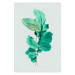 Poster Mint Grace - plant composition with mint leaves on a light background 126543