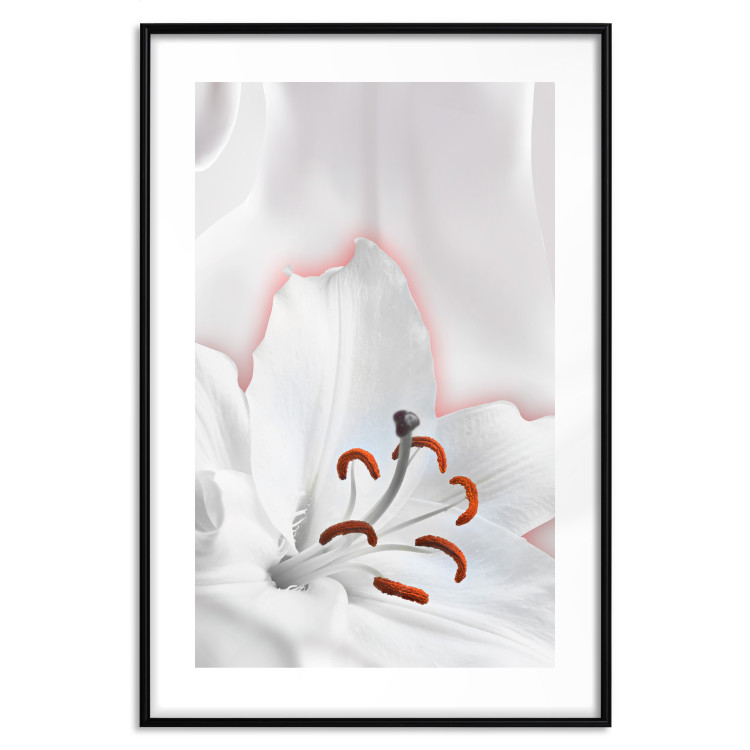 Wall Poster I Am Woman - white lily flower with delicate red contrast 127243 additionalImage 17