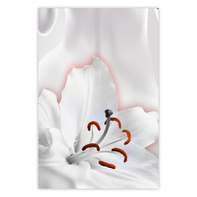 Wall Poster I Am Woman - white lily flower with delicate red contrast 127243