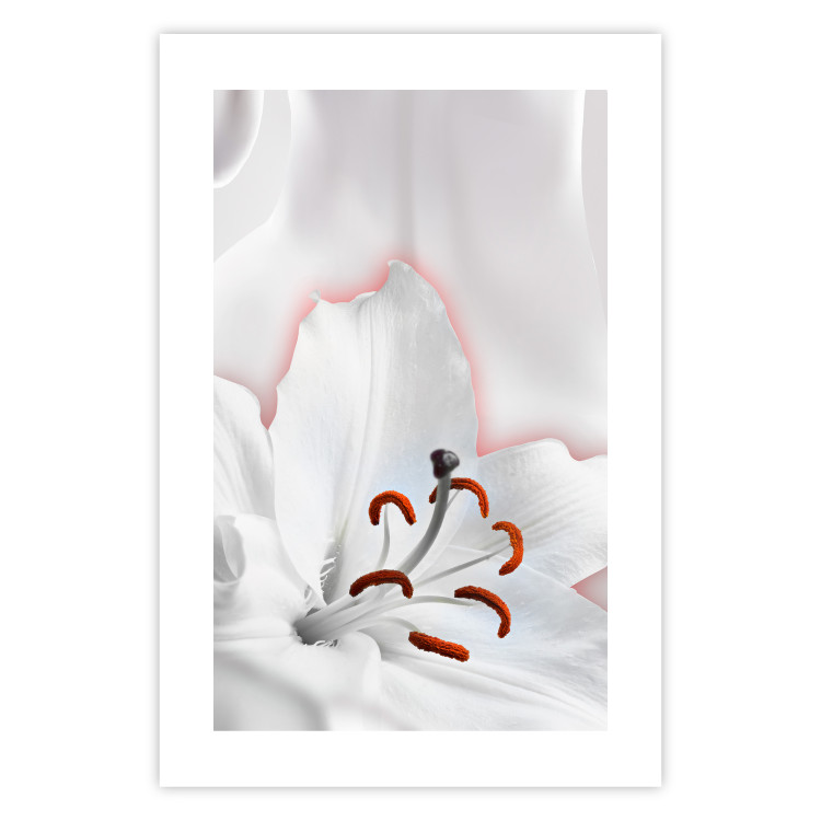 Wall Poster I Am Woman - white lily flower with delicate red contrast 127243 additionalImage 25