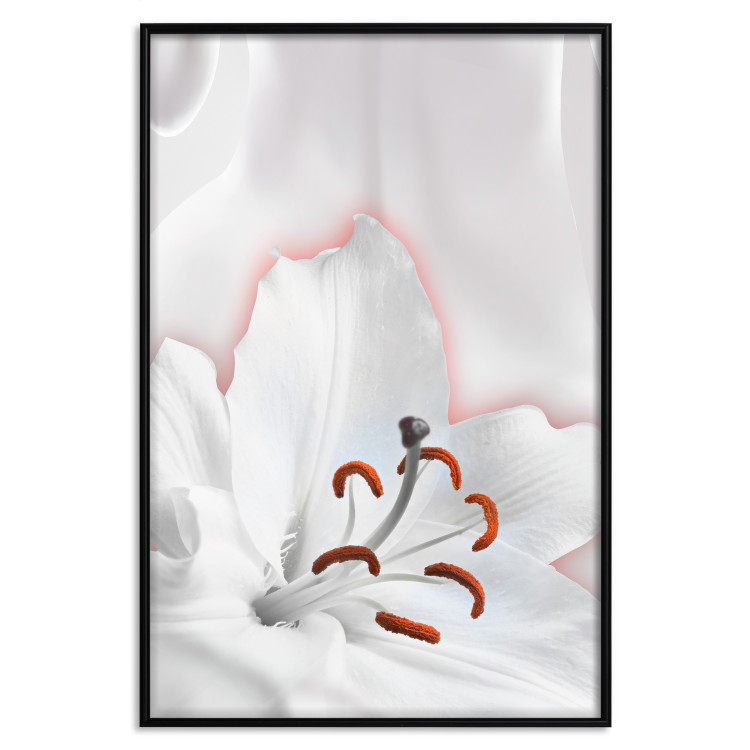Wall Poster I Am Woman - white lily flower with delicate red contrast 127243 additionalImage 16