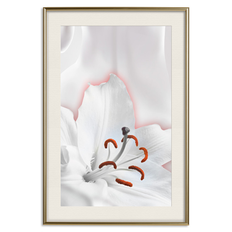Wall Poster I Am Woman - white lily flower with delicate red contrast 127243 additionalImage 20