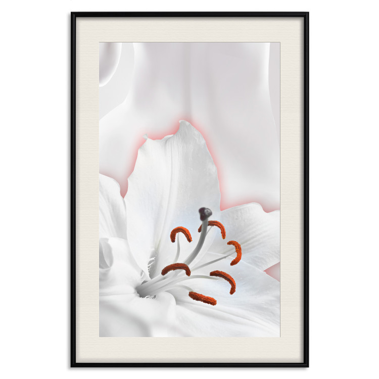 Wall Poster I Am Woman - white lily flower with delicate red contrast 127243 additionalImage 19