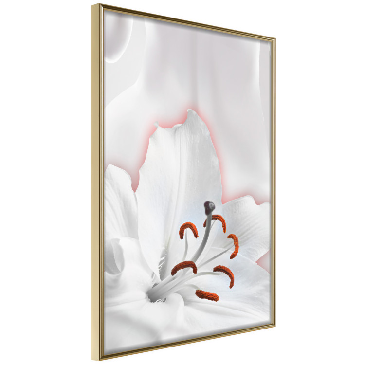 Wall Poster I Am Woman - white lily flower with delicate red contrast 127243 additionalImage 14