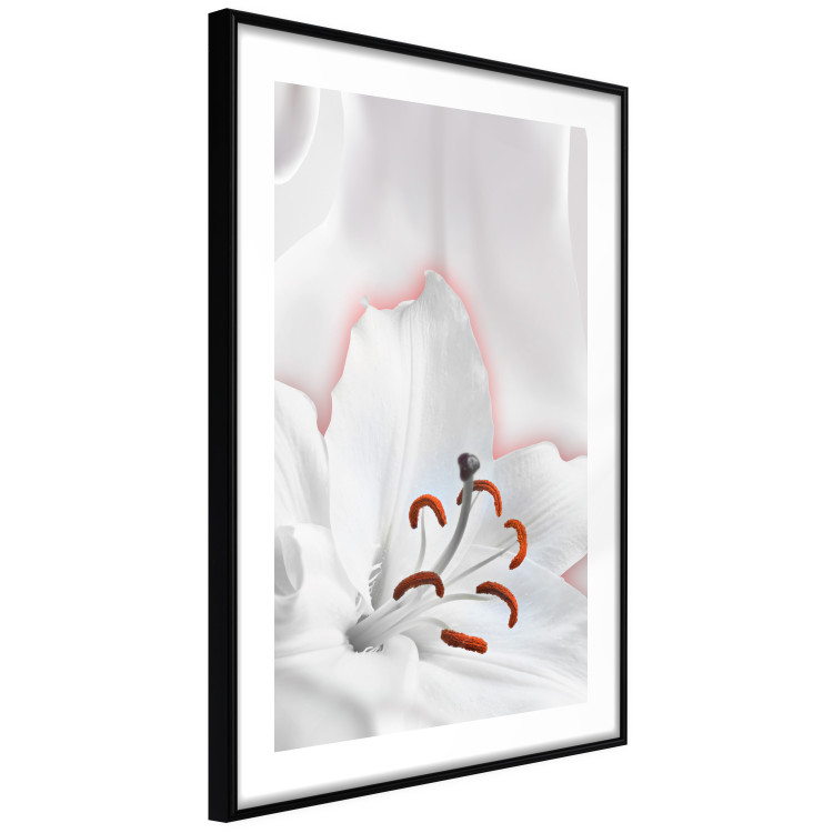 Wall Poster I Am Woman - white lily flower with delicate red contrast 127243 additionalImage 6