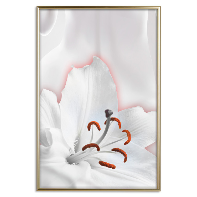 Wall Poster I Am Woman - white lily flower with delicate red contrast 127243 additionalImage 21