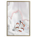 Wall Poster I Am Woman - white lily flower with delicate red contrast 127243 additionalThumb 17