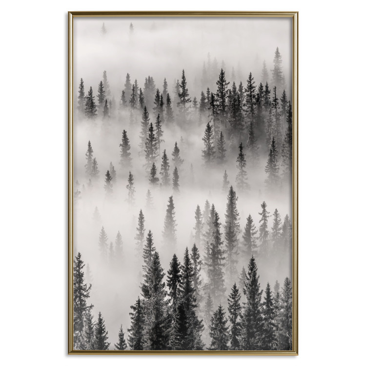 Wall Poster Nesting Site - landscape of a forest with spruce trees covered in thick fog 130243 additionalImage 17