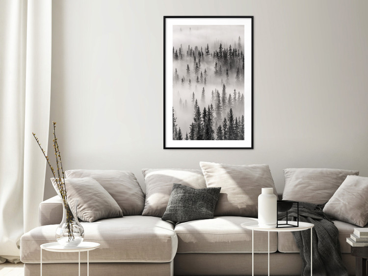 Wall Poster Nesting Site - landscape of a forest with spruce trees covered in thick fog 130243 additionalImage 23
