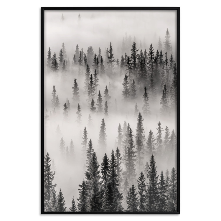 Wall Poster Nesting Site - landscape of a forest with spruce trees covered in thick fog 130243 additionalImage 14