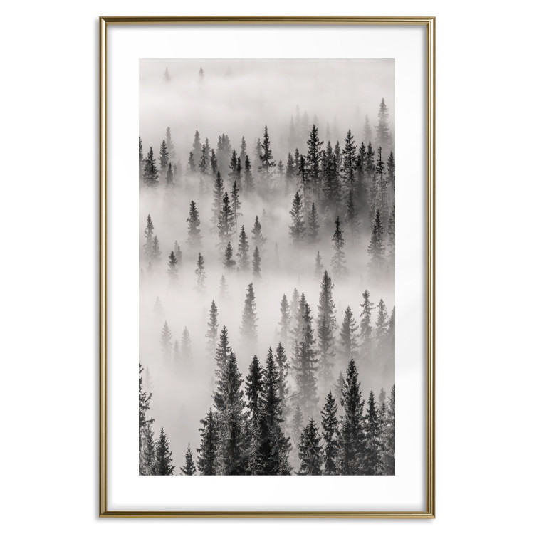 Wall Poster Nesting Site - landscape of a forest with spruce trees covered in thick fog 130243 additionalImage 18