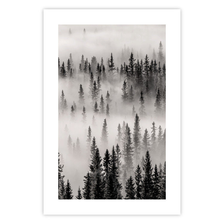 Wall Poster Nesting Site - landscape of a forest with spruce trees covered in thick fog 130243 additionalImage 16