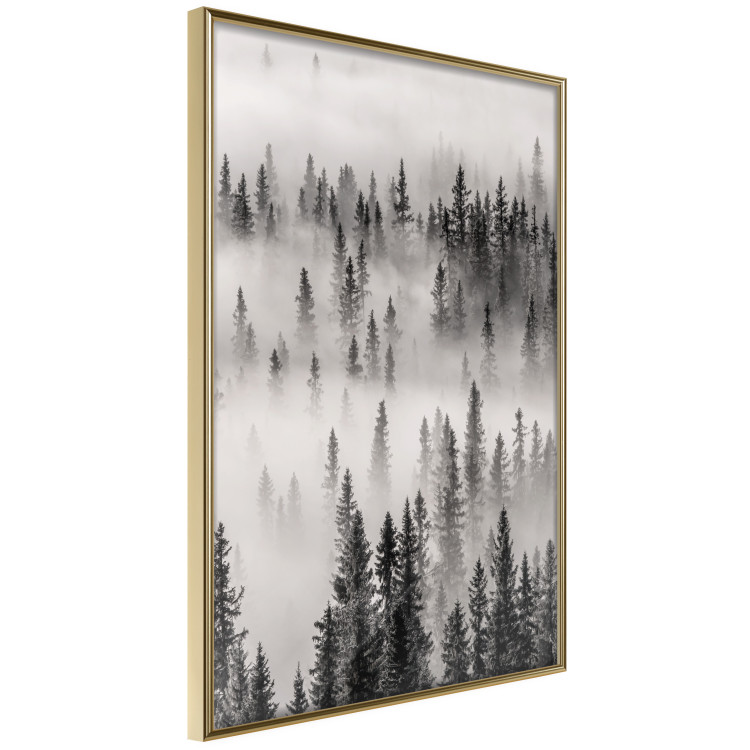 Wall Poster Nesting Site - landscape of a forest with spruce trees covered in thick fog 130243 additionalImage 12