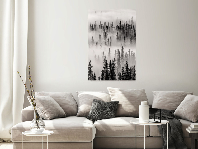 Wall Poster Nesting Site - landscape of a forest with spruce trees covered in thick fog 130243 additionalImage 4