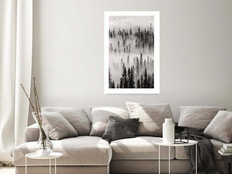 Wall Poster Nesting Site - landscape of a forest with spruce trees covered in thick fog 130243 additionalImage 3