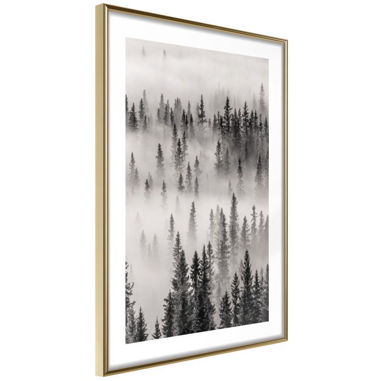 Wall Poster Nesting Site - landscape of a forest with spruce trees covered in thick fog 130243 additionalImage 7