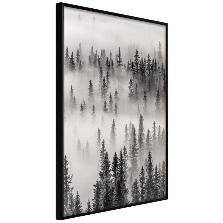 Wall Poster Nesting Site - landscape of a forest with spruce trees covered in thick fog 130243 additionalImage 13