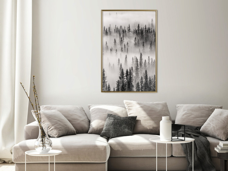 Wall Poster Nesting Site - landscape of a forest with spruce trees covered in thick fog 130243 additionalImage 7