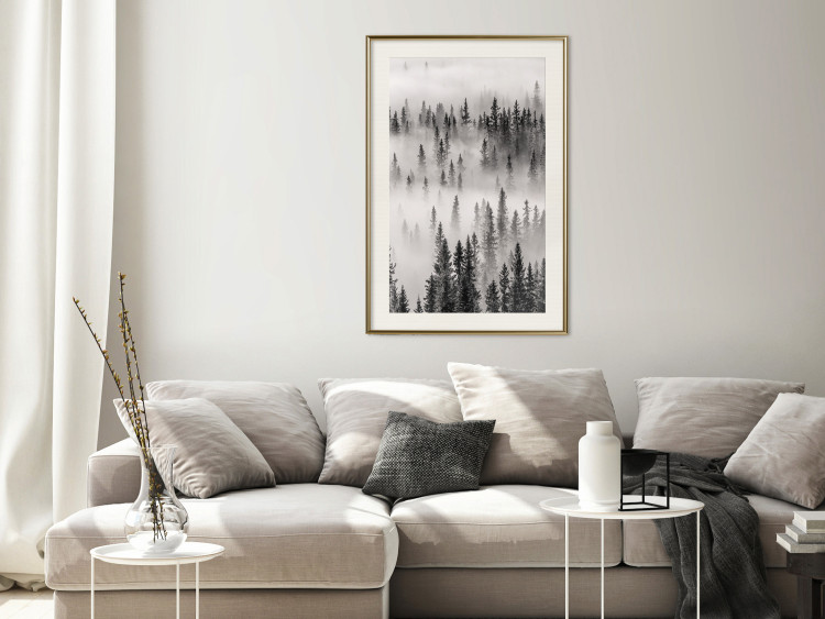 Wall Poster Nesting Site - landscape of a forest with spruce trees covered in thick fog 130243 additionalImage 24