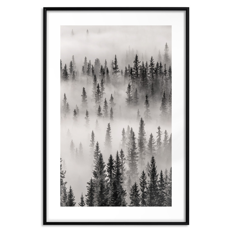 Wall Poster Nesting Site - landscape of a forest with spruce trees covered in thick fog 130243 additionalImage 19