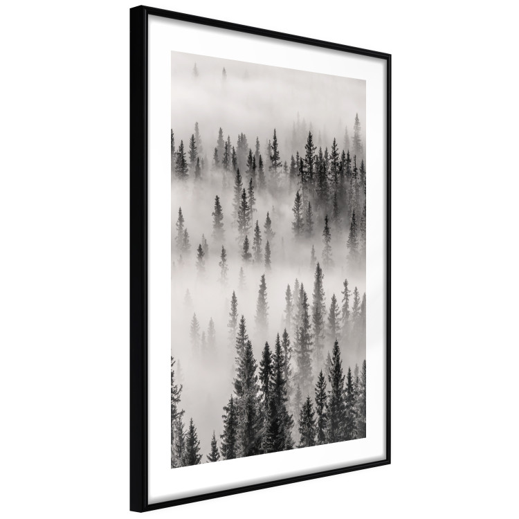 Wall Poster Nesting Site - landscape of a forest with spruce trees covered in thick fog 130243 additionalImage 6