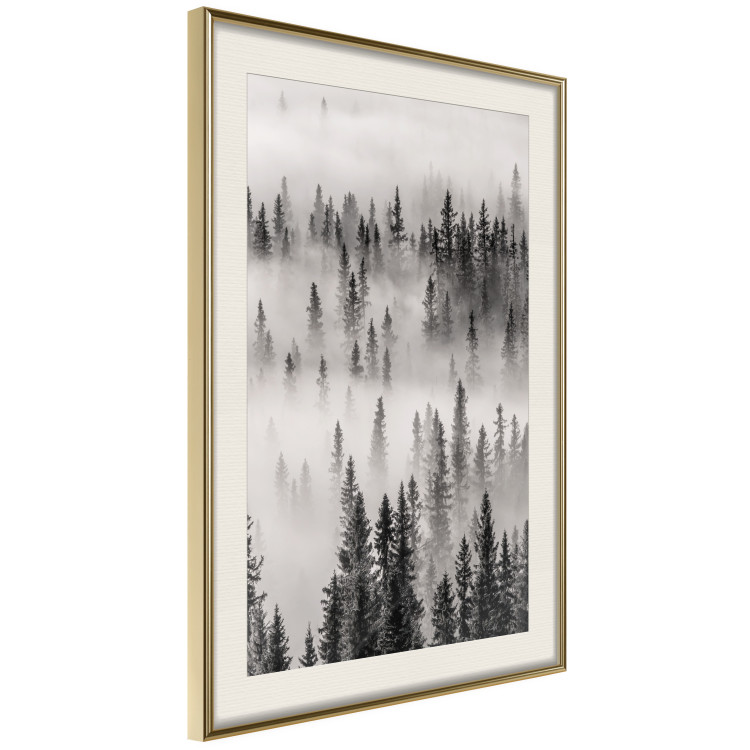 Wall Poster Nesting Site - landscape of a forest with spruce trees covered in thick fog 130243 additionalImage 3