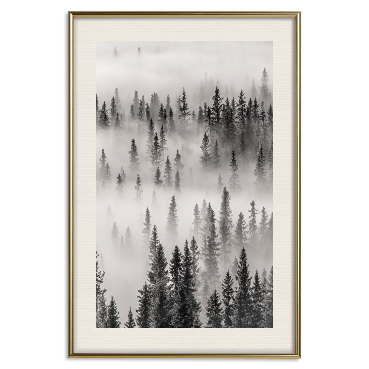 Wall Poster Nesting Site - landscape of a forest with spruce trees covered in thick fog 130243 additionalImage 27