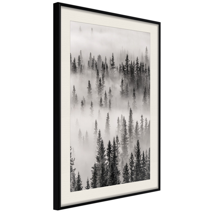 Wall Poster Nesting Site - landscape of a forest with spruce trees covered in thick fog 130243 additionalImage 2