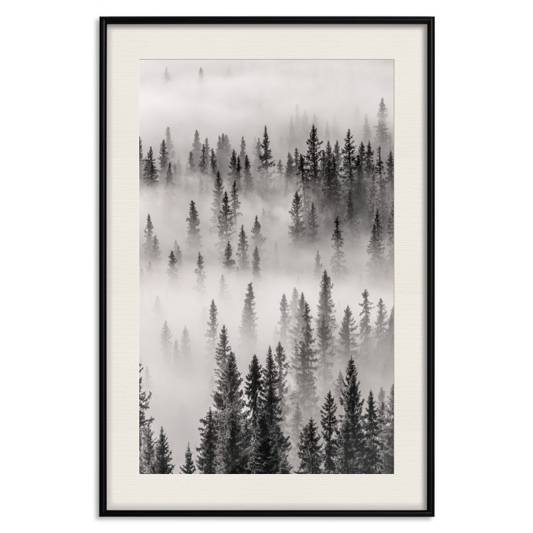 Wall Poster Nesting Site - landscape of a forest with spruce trees covered in thick fog 130243 additionalImage 26