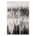 Wall Poster Nesting Site - landscape of a forest with spruce trees covered in thick fog 130243