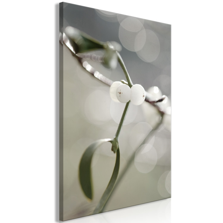 Canvas Mistletoe sprig - winter, botanical photography on a grey background 130743 additionalImage 2