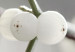 Canvas Mistletoe sprig - winter, botanical photography on a grey background 130743 additionalThumb 5
