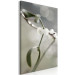 Canvas Mistletoe sprig - winter, botanical photography on a grey background 130743 additionalThumb 2