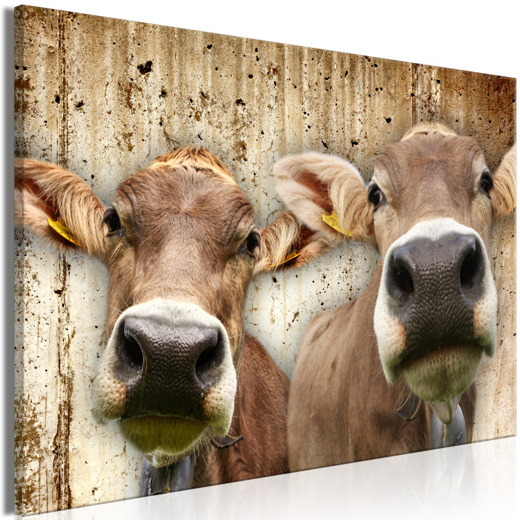 Canvas Art Print Portrait of Two Cows (1-piece) - animals against a concrete wall 145143 additionalImage 2