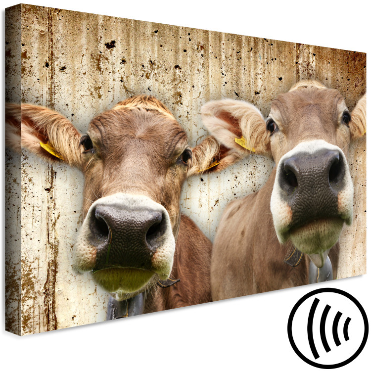 Canvas Art Print Portrait of Two Cows (1-piece) - animals against a concrete wall 145143 additionalImage 6