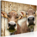 Canvas Art Print Portrait of Two Cows (1-piece) - animals against a concrete wall 145143 additionalThumb 2