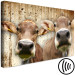 Canvas Art Print Portrait of Two Cows (1-piece) - animals against a concrete wall 145143 additionalThumb 6