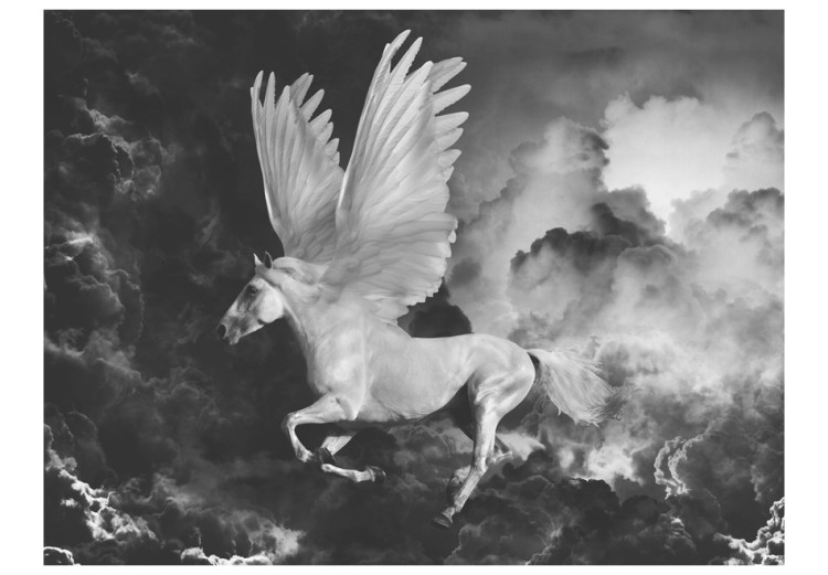 Photo Wallpaper Mythological Fantasy - black and white horse with wings in the clouds 59743 additionalImage 1