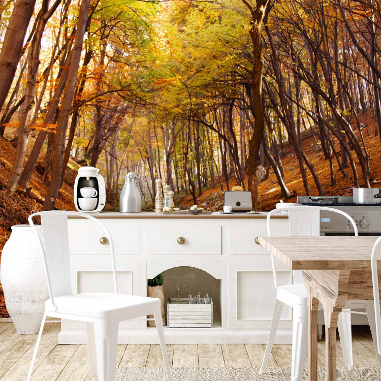 Wall Mural Autumn-Coloured Forest - Landscape of Nature in Autumn with Fallen Leaves 59843 additionalImage 6
