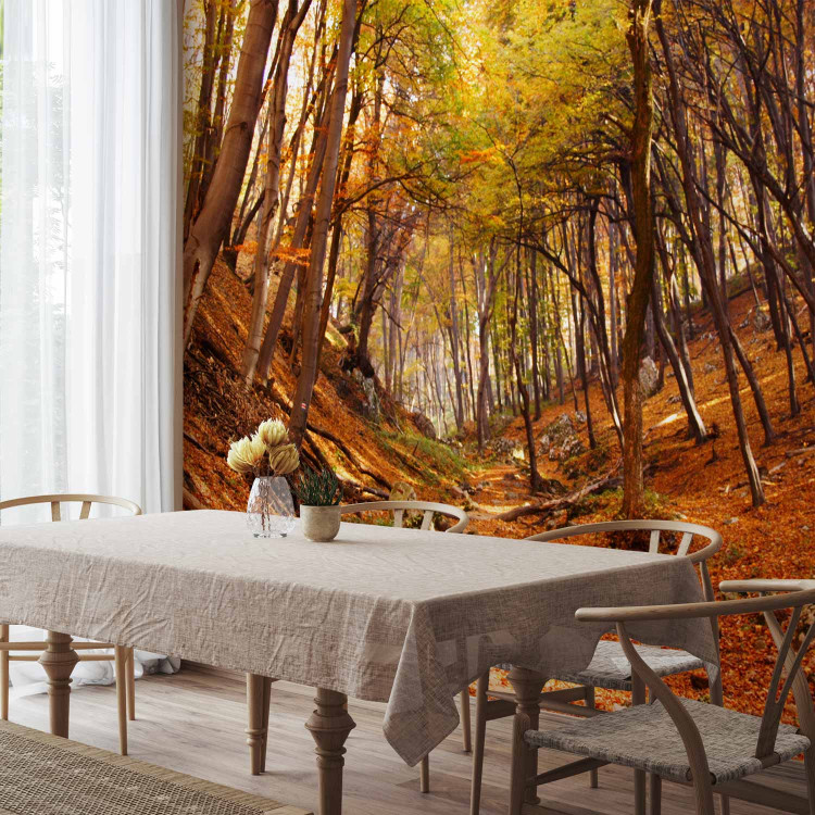Wall Mural Autumn-Coloured Forest - Landscape of Nature in Autumn with Fallen Leaves 59843 additionalImage 7