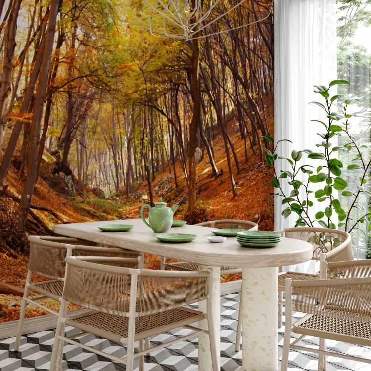 Wall Mural Autumn-Coloured Forest - Landscape of Nature in Autumn with Fallen Leaves 59843 additionalImage 4