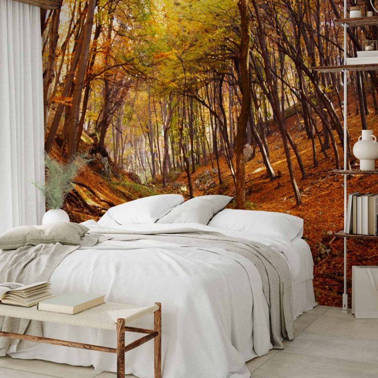 Wall Mural Autumn-Coloured Forest - Landscape of Nature in Autumn with Fallen Leaves 59843 additionalImage 2