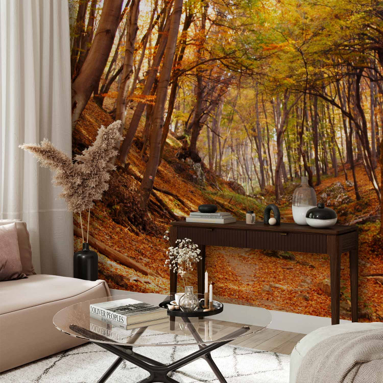 Wall Mural Autumn-Coloured Forest - Landscape of Nature in Autumn with Fallen Leaves 59843