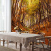 Wall Mural Autumn-Coloured Forest - Landscape of Nature in Autumn with Fallen Leaves 59843 additionalThumb 7