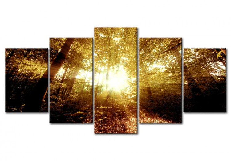 Canvas Print Autumn Forest 62343