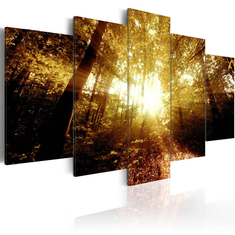 Canvas Print Autumn Forest 62343 additionalImage 2